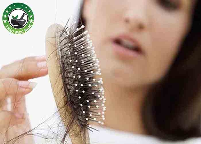 Dược liệu thuần mộc tự nhiên cải thiện rụng tóc cho chị em