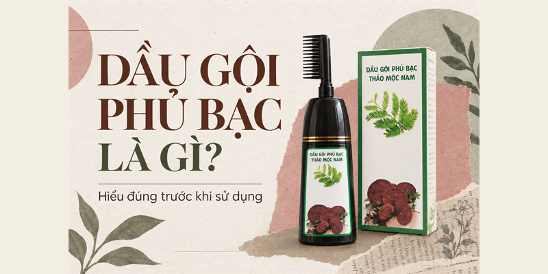 Dầu Gội Phủ Bạc Là Gì? Cách Dùng An Toàn, Lên Màu Đều